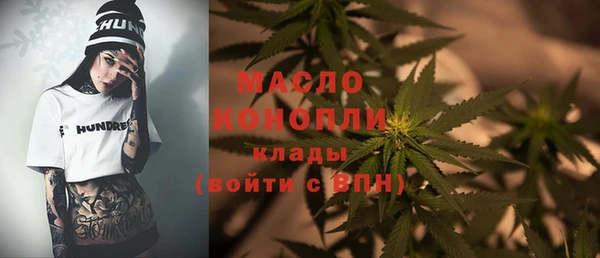 индика Лагань