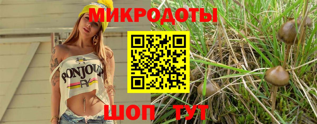 Псилоцибиновые грибы Psilocybe  купить наркоту  Вход с VPN  Черемхово  Псилоцибиновые грибы мухоморы 