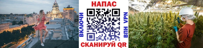 Марихуана White Widow  что такое   Черемхово 